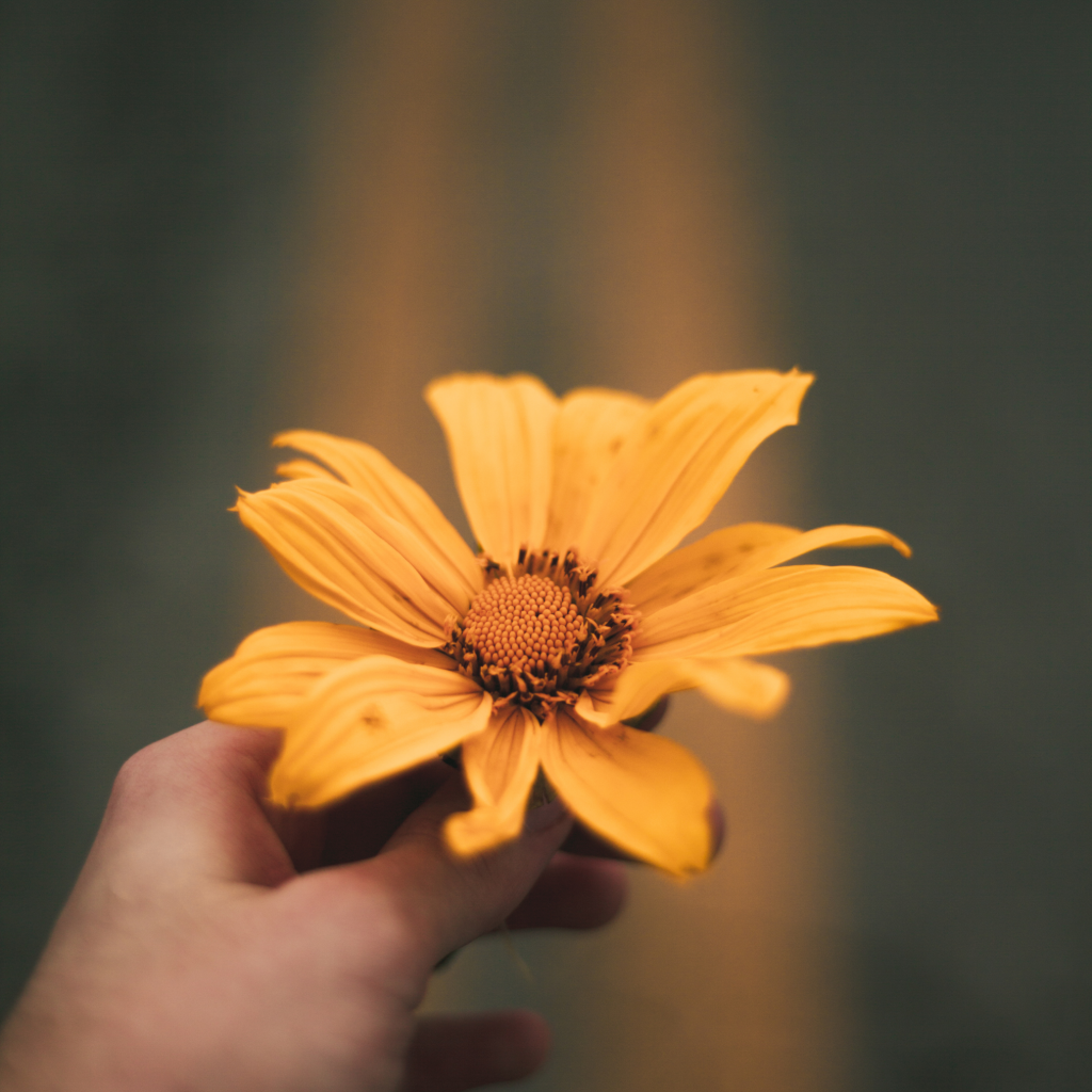 Picture of yellow flower