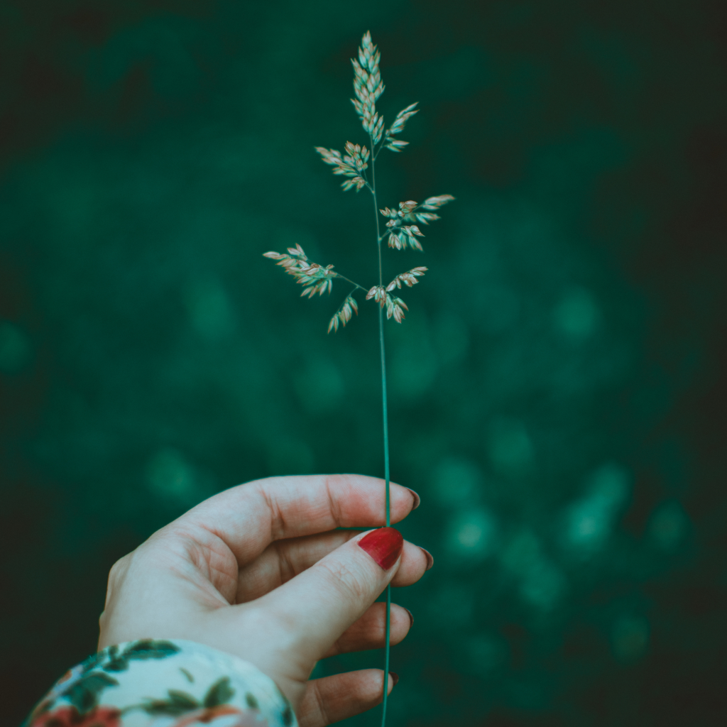 Woman holding grass