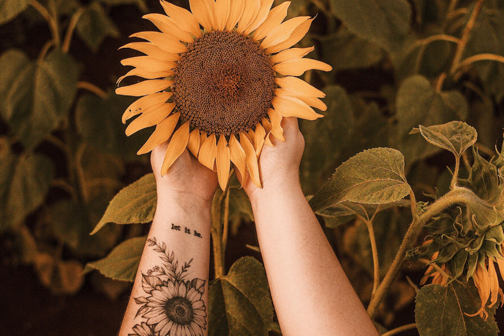 Person holding a sunflower